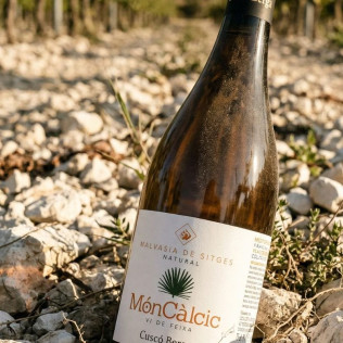 Ruta en Land Rover por las Viñas con Cata de Vino y Aperitivo en Caves Cuscó Berga (Les Gunyoles, Barcelona)