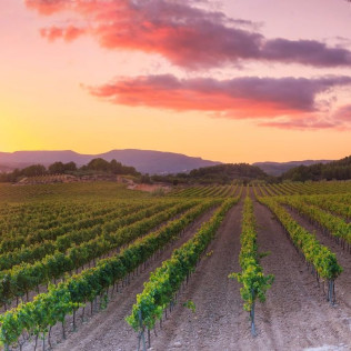 Ruta en Land Rover por las Viñas con Cata de Vino y Aperitivo en Caves Cuscó Berga (Les Gunyoles, Barcelona)