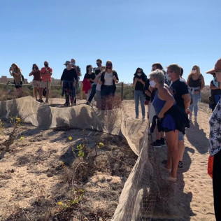 Ruta del Vino: Visita Guiada con Cata de Vinos y Maridaje en Parque Natural de La Mata (Torrevieja, Alicante)