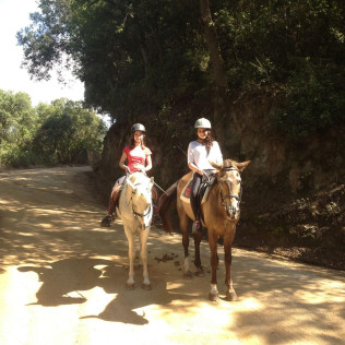 Ruta a Caballo por el Montseny (Barcelona)