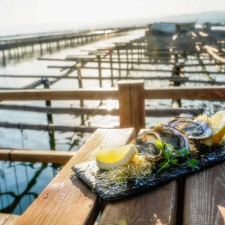 Salida en Barco y Baño en Bahía del Fangar con Opción de Degustación de Ostras y Mejillones (Ampolla, Tarragona)