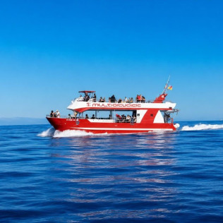 Dolphin & Swim: Salida en Barco con Avistamiento de Cetáceos y Baño (Puerto Rico, Las Palmas)