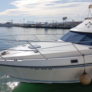 Salida en Barco con Avistamiento de Delfines (Manilva, Málaga)