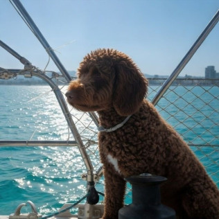 Salida Privada en Barco por el Skyline de Barcelona (Badalona, Barcelona)