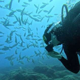 Discover Scuba Diving: Bautismo de Buceo (Tenerife)