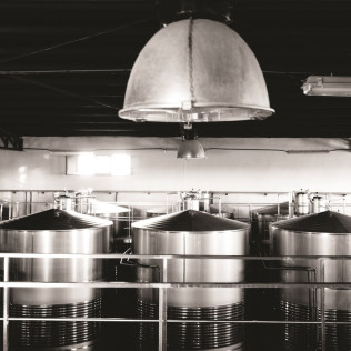 Visita a Bodega y Cata de Vino para dos en Hacienda Villarta (Escalona, Toledo)