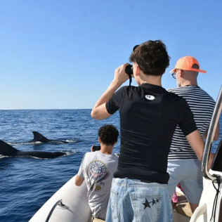 Avistamiento de Cetáceos Privado con Opción a Baño y Snorkel (Tenerife)