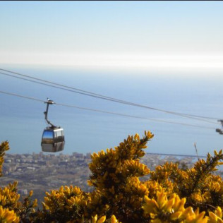 Entrada a Selwo Aventura y Teleférico Benalmádena (Málaga)