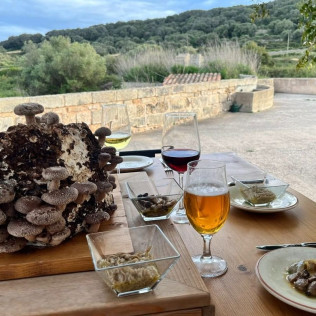 Visita Guiada con Degustación de Setas en Bolets de Menorca (Maó, Menorca)