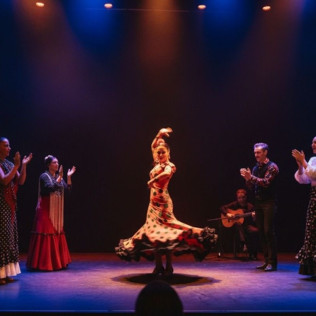 Espectáculo de Flamenco Tradicional (Sevilla)
