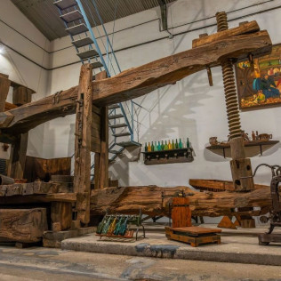 Visita al Lagar de Sidra Viuda de Angelón y Degustación de Sidra (Asturias)