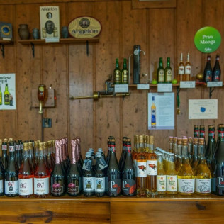 Visita al Lagar de Sidra Viuda de Angelón y Degustación de Sidra (Asturias)