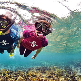 Salida de Snorkel con Clase de Identificación de Especies (Barcelona)
