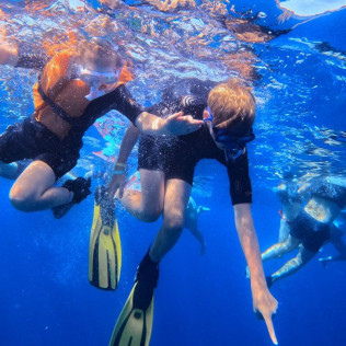 Snorkel Boat Tour en Costa Adeje (Santa Cruz de Tenerife)