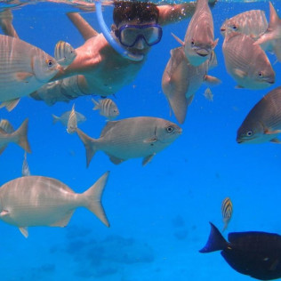 Snorkel con Reportaje de Fotos y Vídeo en Puerto del Carmen (Las Palmas, Lanzarote)