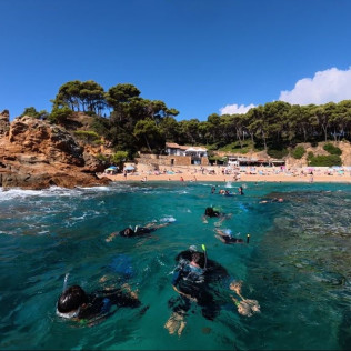 Snorkeling con Biología Marina, Fotos y Vídeos (Lloret de Mar, Girona)