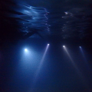 Snorkel Nocturno con Biología Marina, Fotos y Vídeos (Lloret de Mar, Girona)