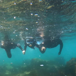 Snorkel Guiado: Explora la Costa de la Luz (Tarifa, Cádiz)