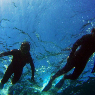 Ruta de Snorkeling en Bahía volcánica en Las Galletas (Tenerife)