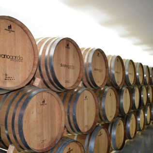 Spa y Comida en Balneario de Archena y Visita a Bodegas Silvano García con Cata y Aperitivo para dos en Jumilla (Murcia)