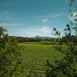 Spa y Comida en Dolce by Wyndham Barcelona Resort 4* Sup y Visita a Celler Clot de les Soleres con Cata para dos (Barcelona)