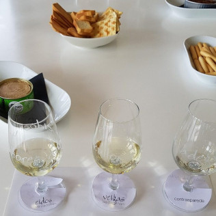 Circuito Spa y Cena en Hotel Galatea 4* y Visita a Adega Dos Eidos con Degustación y Maridaje Gourmet para dos (Pontevedra)