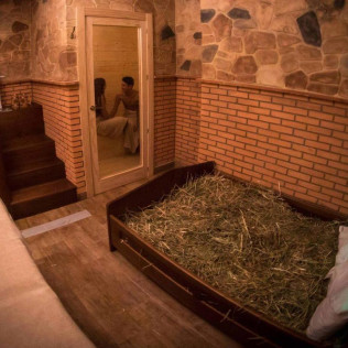 Circuito Spa de Cerveza en Beer Spa (Alicante)