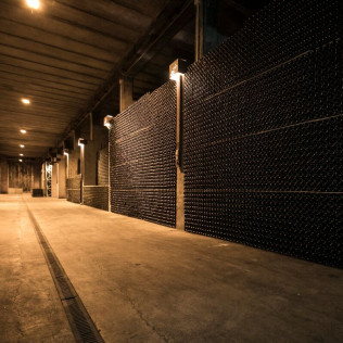 Visita a la Bodega Giró Ribot con Degustación y Circuito Spa para dos en Hotel MiM Sitges 4* (Barcelona)