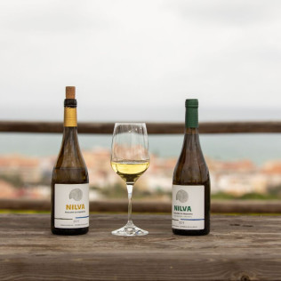 Visita a Bodega Nilva y Circuito Spa para dos en Elba Estepona Gran Hotel 5* (Málaga)