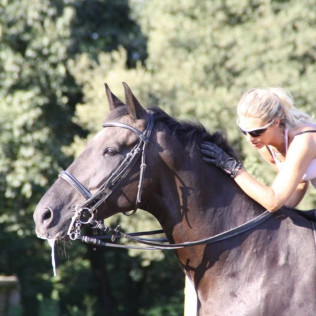 Paseo a Caballo por el Montseny con Circuito Spa y Comida en Hotel Balneario Blancafort 4* para dos (Barcelona)
