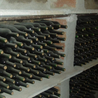 Circuito Spa en Balneario Vichy Catalan y Visita Guiada por Bodega Baronia de Vilademuls con Cata de Vinos para dos (Girona)