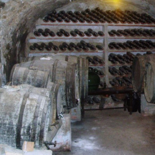Circuito Spa en Balneario Vichy Catalan y Visita Guiada por Bodega Baronia de Vilademuls con Cata de Vinos para dos (Girona)