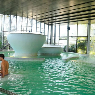 Spa "Aquatonic" en Hotel 4* y Visita a Bodega con Cata y Aperitivo para dos en Cellers Baronia del Montsant (Tarragona)