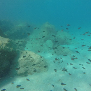 Bautismo de Submarinismo con Reportaje Fotográfico para dos (Ametlla de Mar, Tarragona)