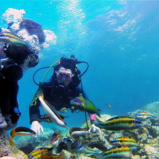 Bautizo de Buceo (Playa de Calahonda, Granada)