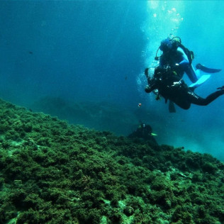 Bautizo de Buceo (Playa de Calahonda, Granada)