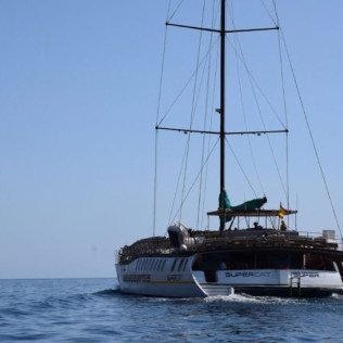 Paseo en Catamarán Super Cat con Avistamiento de Delfines, Comida y Banana Acuática (Gran Canaria)