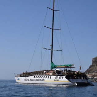 Paseo en Catamarán Super Cat con Avistamiento de Delfines, Comida y Banana Acuática (Gran Canaria)