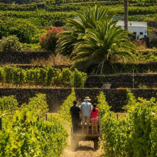 Cata de Vino y Picoteo Gourmet para dos en Bodega Tajinaste (La Orotava, Tenerife)
