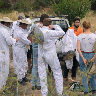 Taller de Apicultura con Degustación de Vino con Miel, AOVE Ecológico y Mieles Ecológicas para dos (Bullas, Murcia)