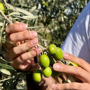 Taller de Apicultura con Degustación de Vino con Miel, AOVE Ecológico y Mieles Ecológicas para dos (Bullas, Murcia)