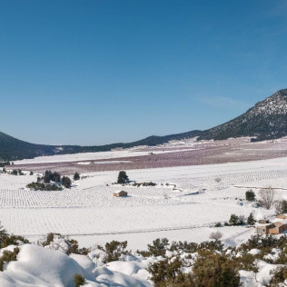 Taller de Apicultura con Degustación de Vino con Miel, AOVE Ecológico y Mieles Ecológicas para dos (Bullas, Murcia)