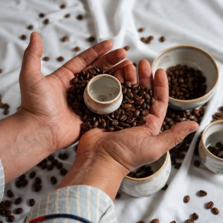 Taller de Café con Degustación (Barcelona)