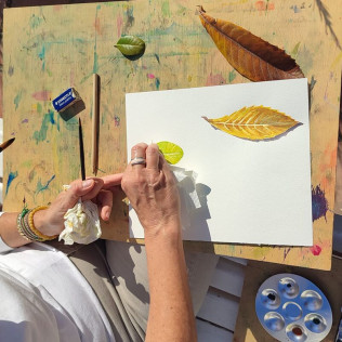 Taller de Pintura: Introducción a la Acuarela en el Jardín Botánico de Valencia (Valencia)