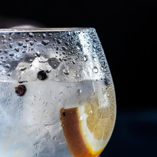 Taller y Cata de Gin Tonic Premium (Barcelona)