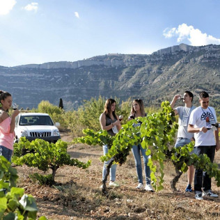 Escapada Relax con Spa "Aquatonic" en Hotel Termes de Montbrió 4*, Visita a Bodega, Cata de Vinos y Comida para dos (Tarragona)