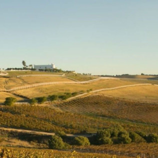 Visita y Cata de Vinos en Bodega Tesalia (Arcos de la Frontera, Cádiz)