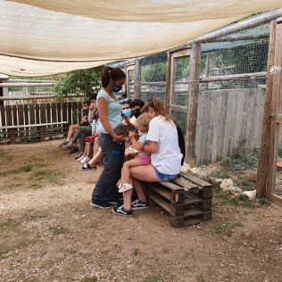 Toca Toca: Acaricia, Alimenta, Conecta y Vive Momentos Únicos con Animales (Lleida)