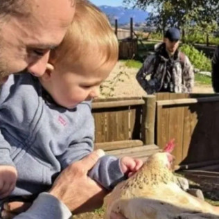 Toca Toca: Acaricia, Alimenta, Conecta y Vive Momentos Únicos con Animales (Lleida)