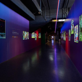 Immersive Tour Entrada Básica para el FC Barcelona Museu y al Spotify Camp Nou Live (Barcelona) 